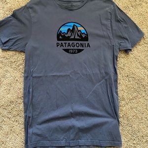 Patagonia Medium Slim Fit Tee